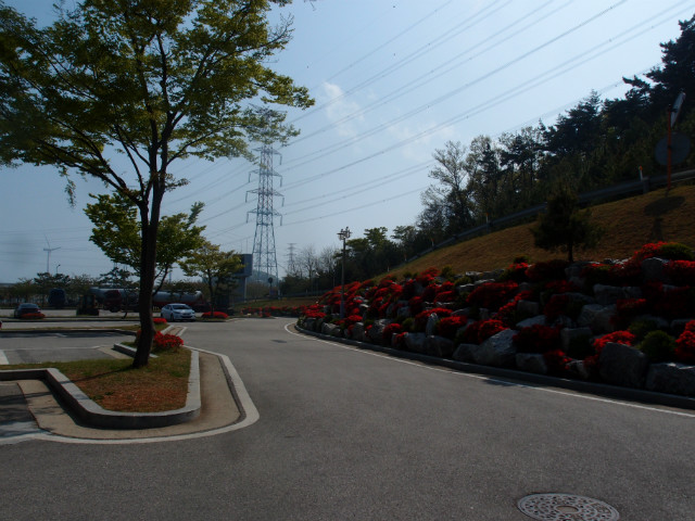 P5013320.JPG
