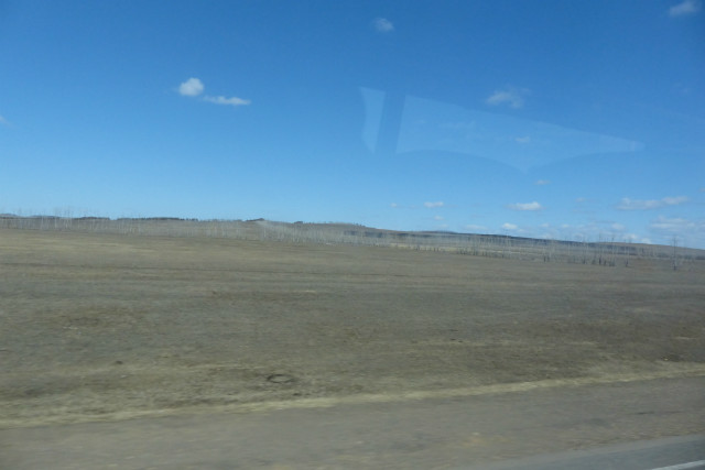 L1310166.JPG