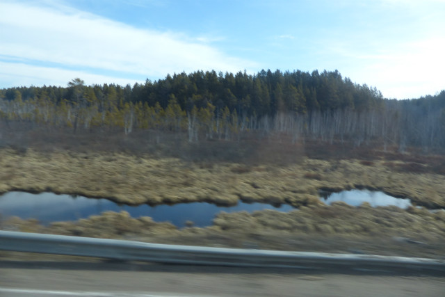 L1310823.JPG
