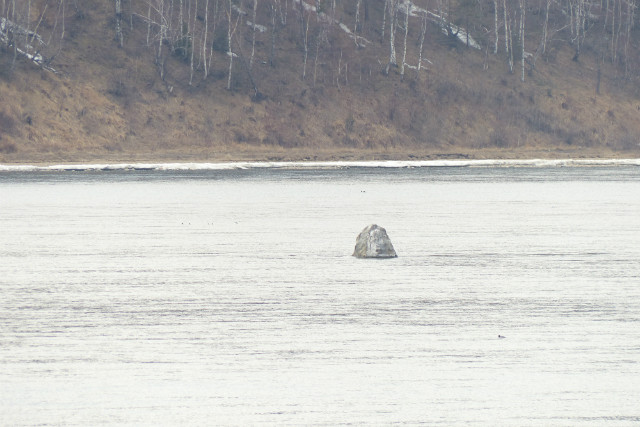 L1320112.JPG