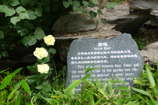 DSC09805.JPG