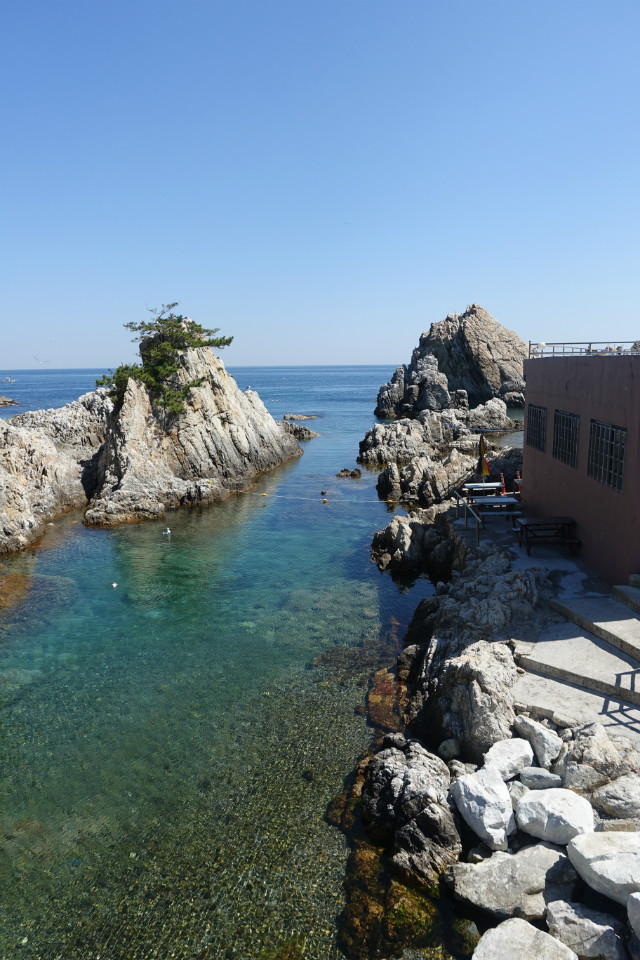 DSC00485.JPG