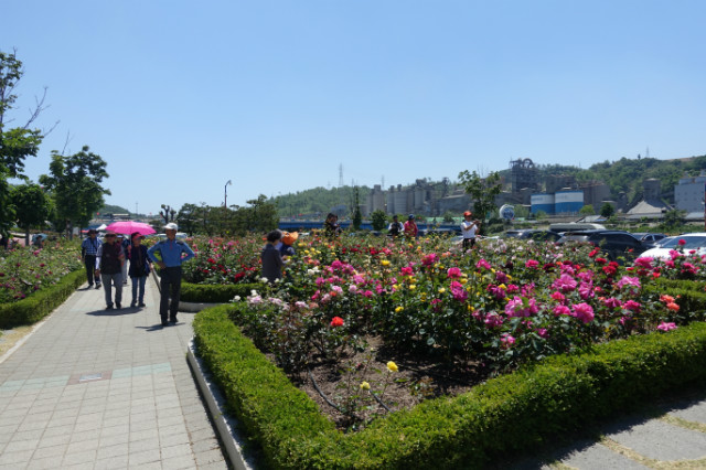 DSC00562.JPG
