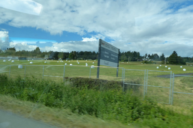 L1330310.JPG
