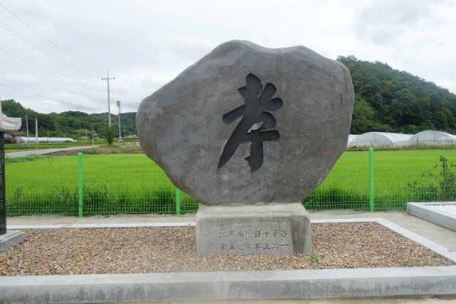 DSC03239.JPG
