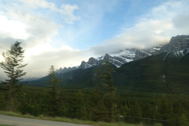 DSC01711.JPG