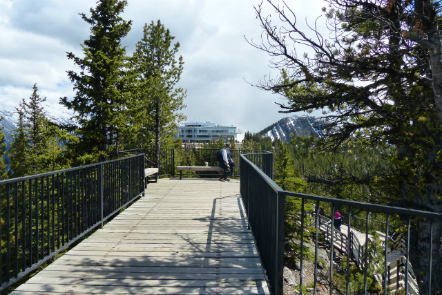 L1330911.JPG