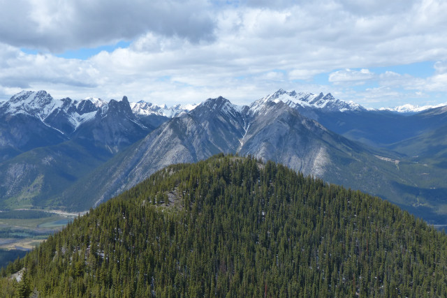 L1330955.JPG