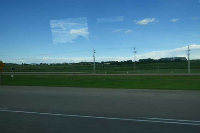 DSC01833.JPG