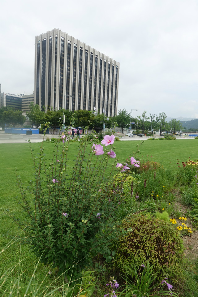 DSC03256.JPG