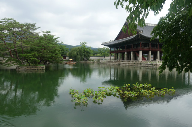 DSC03271.JPG