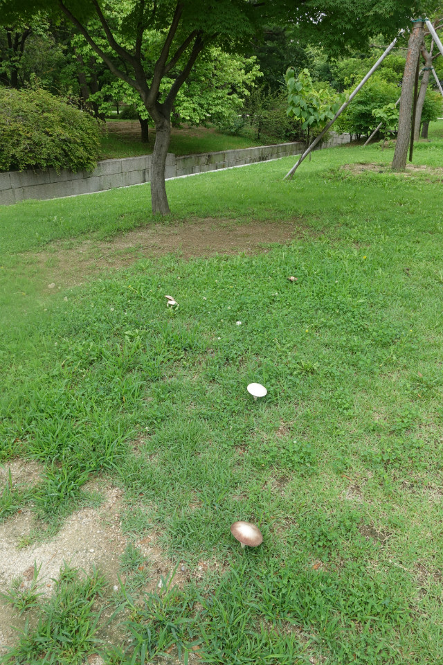 DSC03273.JPG