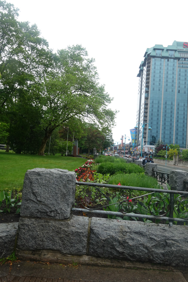 DSC02093.JPG