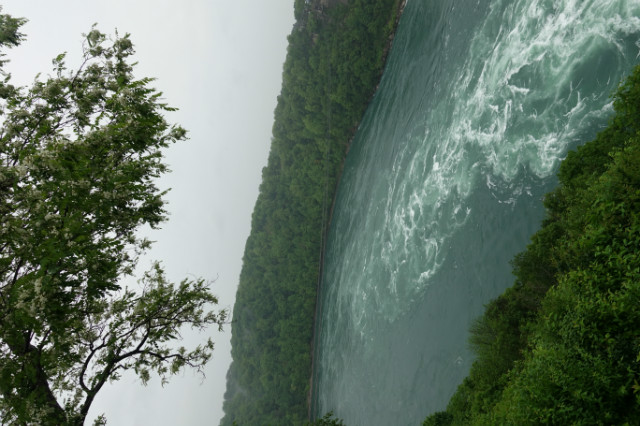 DSC02280.JPG