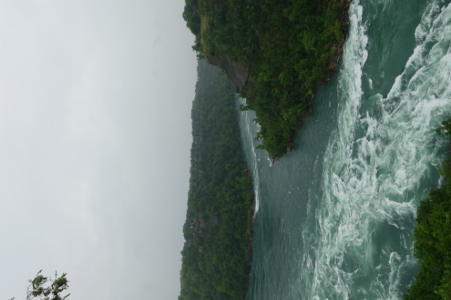 DSC02281.JPG