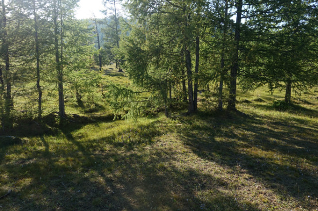DSC03507.JPG