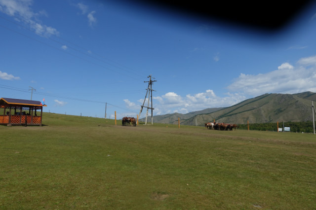 DSC03737.JPG
