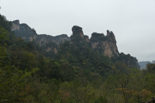 L1370205.JPG