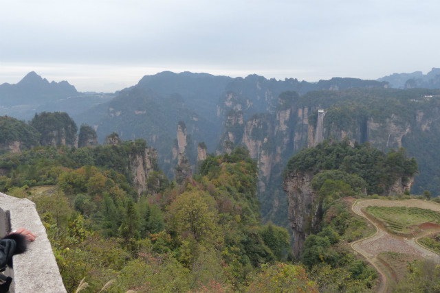 L1370339.JPG