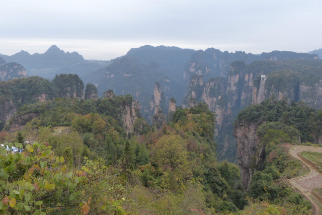 L1370340.JPG