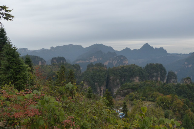 L1370349.JPG