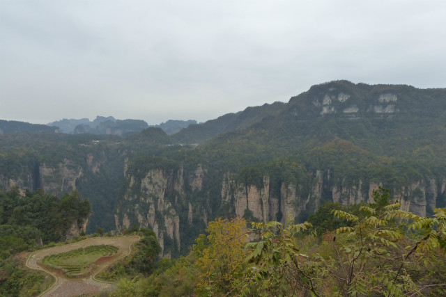 L1370352.JPG