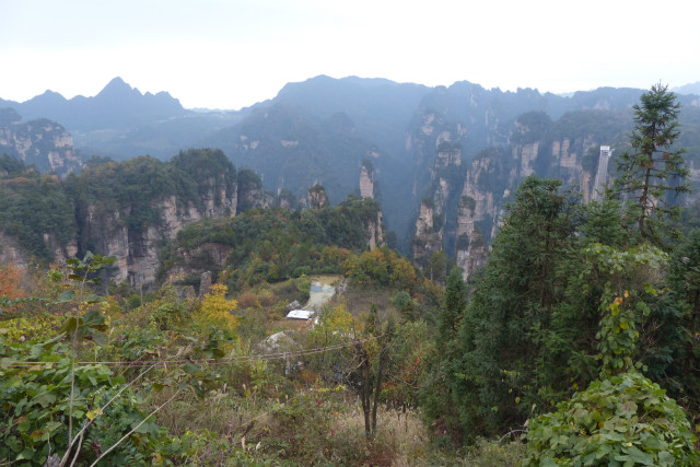 L1370364.JPG