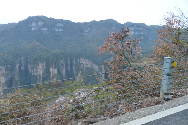 L1370365.JPG