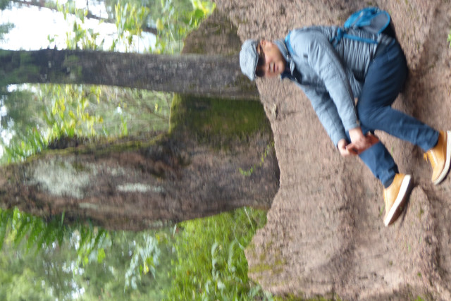 L1370537.JPG