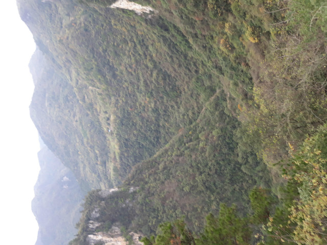 20191122_133520.jpg