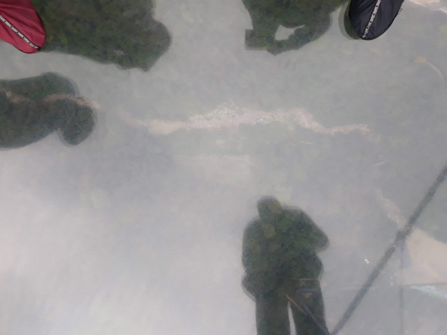 20191122_133745.jpg
