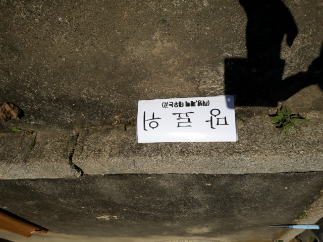 20201024_113130.jpg